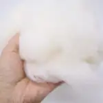 Bio Rohwatte Naturweiß zum Befüllen (gekämmte Baumwolle 450g)