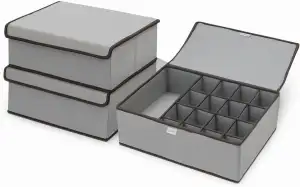 PEROS Aufbewahrungsboxen mit Deckel, Organizer, 2er-Set, faltbare Stoffbox, Ordn