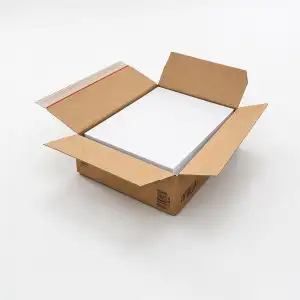 Kineco Kopierpapier A4 – 1000 Blatt im Karton – Umweltfreundlich & plastikfrei v