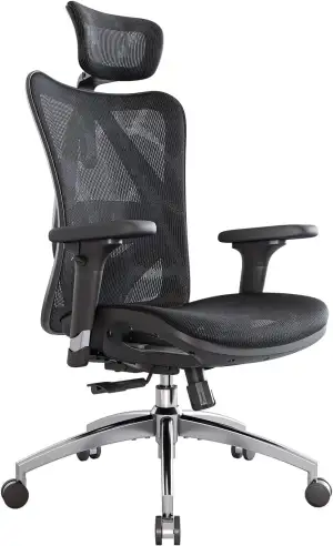SIHOO M57 Ergonomischer Bürostuhl, Chefsessel mit 3D verstellbare Armlehne und L