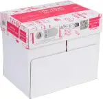 Premium Druckerpapier DIN A4 – 2.500 Blatt (5 x 500 Blatt) – Weißes Universal Office Paper Kopierpapier - Ideal für Büro und Heim (1 Karton | 2.500 Blatt)